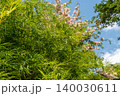 World-class tropical forest flowers of Southeast Asia. 140030611