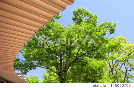 公園のテラスの屋根と新緑の欅と初夏の青空 公園のテラスの屋根と新緑の欅と初夏の青空 140030702