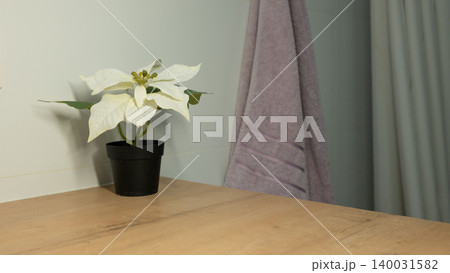 White poinsettia in black pot on wooden surface with purple towel in background White poinsettia in black pot on wooden surface with purple towel in background 140031582