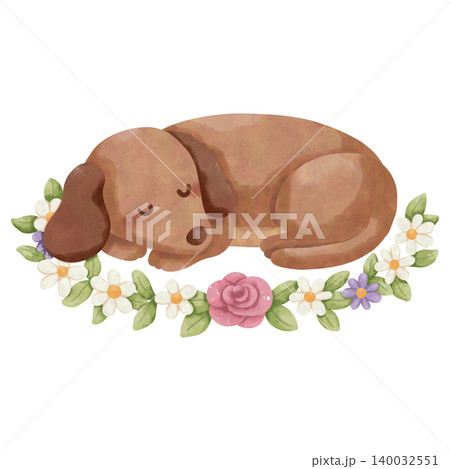 Cute Dachshund Watercolor Clipart Bundle, Kawaii Sausage Dog PNG, Floral Puppy Illustration Set Cute Dachshund Watercolor Clipart Bundle, Kawaii Sausage Dog PNG, Floral Puppy Illustration Set 140032551