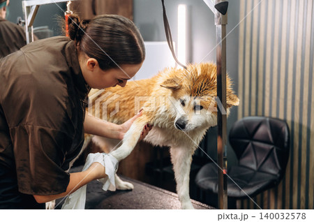 Dog grooming session featuring a groomer washing a fluffy dog in a modern salon with stylish decor and a comfortable chair in the background Dog grooming session featuring a groomer washing a fluffy dog in a modern salon with stylish decor and a comfortable chair in the background 140032578