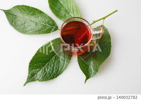 杜仲茶の葉 杜仲茶の葉 140032782