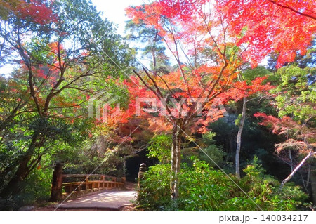 【広島県】日本三景安芸の宮島の紅葉谷公園 【広島県】日本三景安芸の宮島の紅葉谷公園 140034217