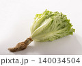 ［宮城県産］サラダレタス　リーフレタス 140034504