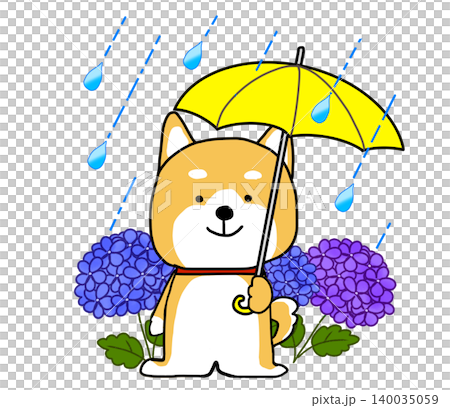 雨季的一個下雨天,一隻柴犬撐著一把黃色雨傘站在繡球花前。 雨季的一個下雨天,一隻柴犬撐著一把黃色雨傘站在繡球花前。 140035059