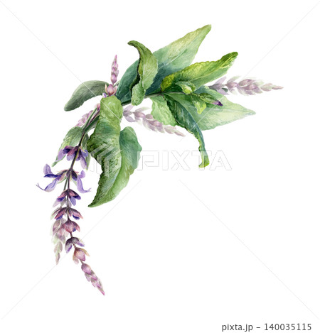 Sage wreath semi arch watercolor illustration template. Round medicinal salvia herb garland with copy space for organic pharmacy branding, natural cosmetics label design, wellness greeting card Sage wreath semi arch watercolor illustration template. Round medicinal salvia herb garland with copy space for organic pharmacy branding, natural cosmetics label design, wellness greeting card 140035115