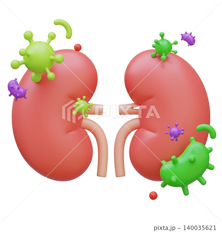 3D Illustration of Human Kidneys Organ with Bacteria and Virus Infection 140035621