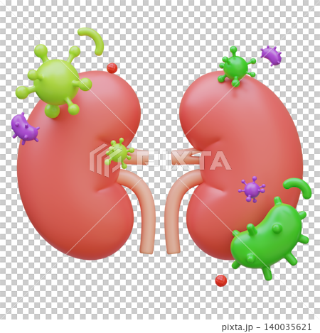 3D Illustration of Human Kidneys Organ with Bacteria and Virus Infection 140035621
