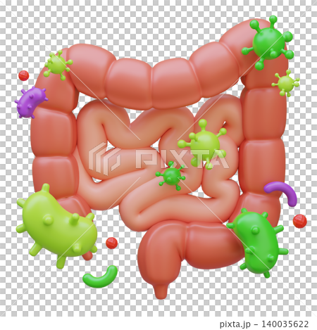 3D Illustration of Human Intestines Organ with Bacteria and Virus Infection 140035622