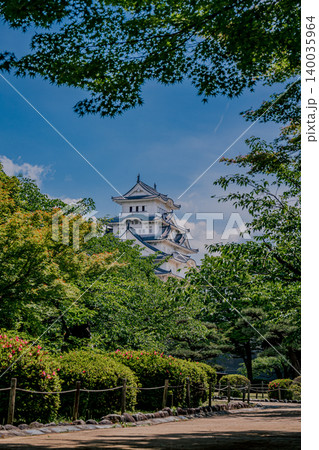 新緑に包まれた姫路城の夏景色 新緑に包まれた姫路城の夏景色 140035964