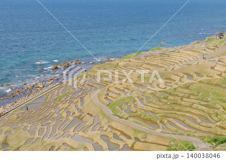 田植え前の白米千枚田 2023年5月 田植え前の白米千枚田 2023年5月 140038046
