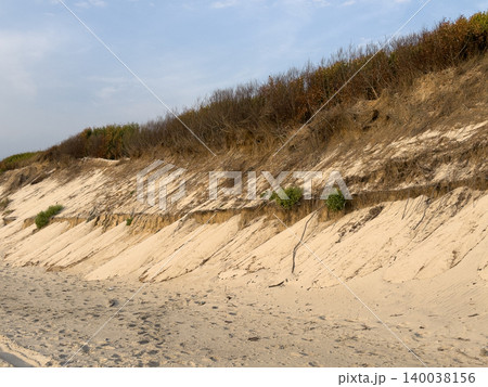 Sloping coastal dunes show layers of sand and vegetation 140038156