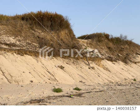Dune erosion reveals layers of sand and plant roots with a clear, calm sky 140038157