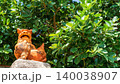 鮮やかな緑の葉に囲まれて屋根に鎮座する沖縄のシーサー 140038907