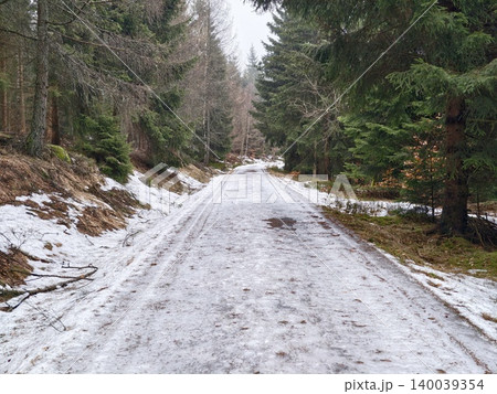 Snowy pine path enveloped in mist. Icy gravel route surrounded by snowcovered pine trees and fog Snowy pine path enveloped in mist. Icy gravel route surrounded by snowcovered pine trees and fog 140039354