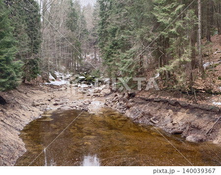 Remote pine forest with flowing water. Eroded riverbank in dense autumn woodland landscape Remote pine forest with flowing water. Eroded riverbank in dense autumn woodland landscape 140039367