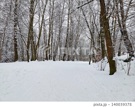 Serene winter trail amidst leafless trees. Scenic snowcovered forest route with open clearing nearby Serene winter trail amidst leafless trees. Scenic snowcovered forest route with open clearing nearby 140039378