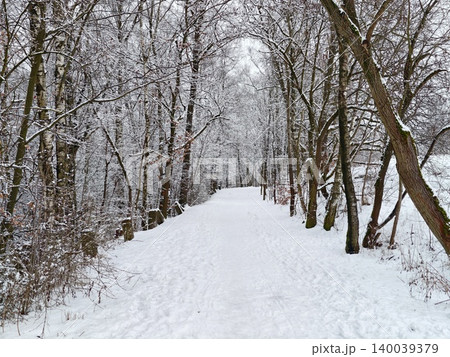 Tranquil snowy pathway bordered by frosted trees forming tunnel shapes and vanishing perspective Tranquil snowy pathway bordered by frosted trees forming tunnel shapes and vanishing perspective 140039379