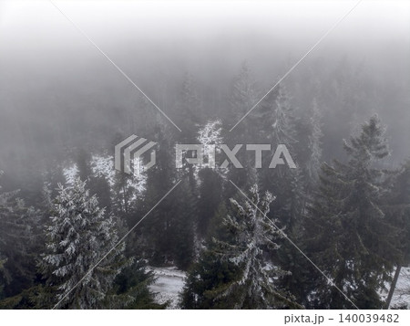 Snowcovered trees in quiet fog. Silent winter scene with frosted conifer canopy and subdued hues Snowcovered trees in quiet fog. Silent winter scene with frosted conifer canopy and subdued hues 140039482