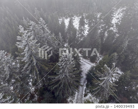 Frozen branches surround narrow icy pathway. Dense evergreen trees and icy boughs with misty atmosphere Frozen branches surround narrow icy pathway. Dense evergreen trees and icy boughs with misty atmosphere 140039493