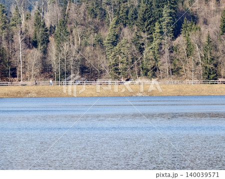 Serene waters with lush woods. Quiet blue water bordered by dense green trees during early spring Serene waters with lush woods. Quiet blue water bordered by dense green trees during early spring 140039571
