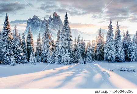 Golden sunrise filters through a snow-covered pine forest, casting long shadows across a pristine winter landscape beneath dramatic jagged mountain peaks. Serene, cold, and atmospheric scene conveying Golden sunrise filters through a snow-covered pine forest, casting long shadows across a pristine winter landscape beneath dramatic jagged mountain peaks. Serene, cold, and atmospheric scene conveying 140040280