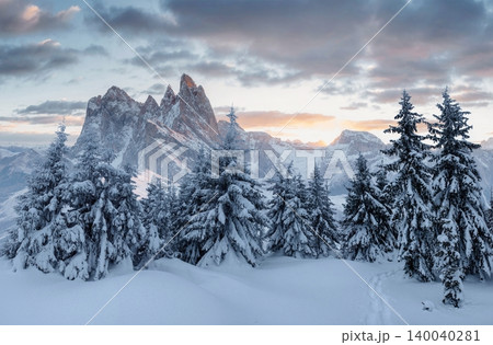 Colorful winter panorama in the Alpine Dolomites. Fir trees covered in fresh snow on a frosty morning shine in the first rays of the sun. 140040281