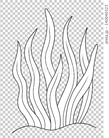 digital hand draw of sea weed underwater plants digital hand draw of sea weed underwater plants 140040323