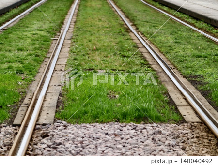Nature intersects urban transportation lines. Lush vegetation lines railway pathway peacefully 140040492