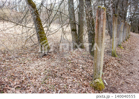 A weathered, broken chain-link fence mesh clings to mossy tree trunks and concrete posts along a dusty path in a barren winter forest, showing decay and neglect A weathered, broken chain-link fence mesh clings to mossy tree trunks and concrete posts along a dusty path in a barren winter forest, showing decay and neglect 140040555