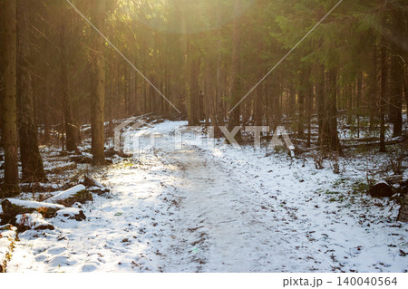 Winding snowy path through a serene winter forest. Dappled sunlight filters through tall trees, creating a peaceful natural scene, perfect for a quiet stroll Winding snowy path through a serene winter forest. Dappled sunlight filters through tall trees, creating a peaceful natural scene, perfect for a quiet stroll 140040564