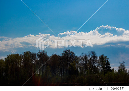 Bright blue sky featuring vast, fluffy white clouds floating above a dark, silhouetted forest line. A serene, tranquil nature vista Bright blue sky featuring vast, fluffy white clouds floating above a dark, silhouetted forest line. A serene, tranquil nature vista 140040574