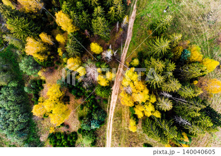 Aerial shot of a winding dirt road cutting through a lively autumn forest. Lush green conifers contrast with brilliant golden deciduous trees, a true fall spectacle Aerial shot of a winding dirt road cutting through a lively autumn forest. Lush green conifers contrast with brilliant golden deciduous trees, a true fall spectacle 140040605