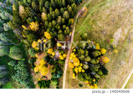 Aerial view of a vibrant autumn forest with a winding dirt road cutting through. Rich golden and green foliage showcasing seasonal change, bordered by a dry field Aerial view of a vibrant autumn forest with a winding dirt road cutting through. Rich golden and green foliage showcasing seasonal change, bordered by a dry field 140040606