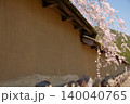 土塀からお触れ出る居誰桜の枝花 140040765