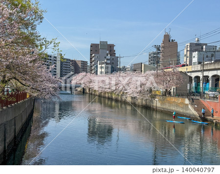 大岡川の水面に映る満開の桜並木と横浜の街並み 140040797