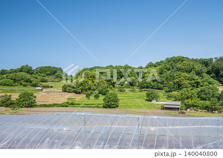 明日香の段々畑 奈良県明日香村 明日香の段々畑 奈良県明日香村 140040800