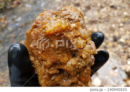 Gloved hand reveals a gnarly wet flint rock, showcasing bumpy botryoidal chalcedony formations amidst its earthy reddish-brown texture, found by a flowing stream Gloved hand reveals a gnarly wet flint rock, showcasing bumpy botryoidal chalcedony formations amidst its earthy reddish-brown texture, found by a flowing stream 140040820