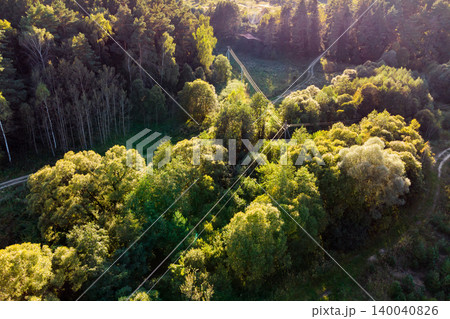 Aerial view of a lush green forest with power lines traversing the verdant woodlands, sun-kissed treetops and winding dirt tracks Aerial view of a lush green forest with power lines traversing the verdant woodlands, sun-kissed treetops and winding dirt tracks 140040826