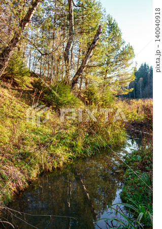 Tranquil creek meanders through vibrant autumn foliage and sun-dappled trees. A serene, unspoiled natural scene, reflecting clear skies and lush greenery 140040918