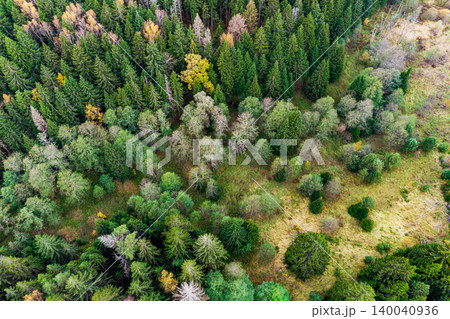 Lush evergreen and deciduous forest from above. A vibrant woodland panorama with autumn hues mingling. Nature's canopy in varied shades Lush evergreen and deciduous forest from above. A vibrant woodland panorama with autumn hues mingling. Nature's canopy in varied shades 140040936