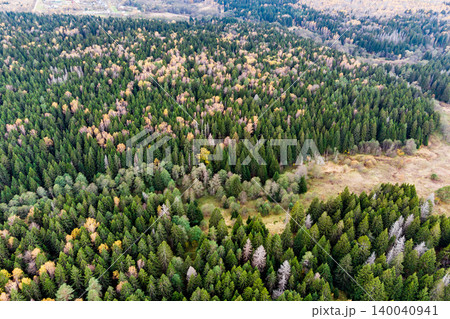 Aerial shot reveals a sprawling forest, a tapestry of lush green conifers and patches of vibrant golden and russet deciduous trees showcasing early autumn hues Aerial shot reveals a sprawling forest, a tapestry of lush green conifers and patches of vibrant golden and russet deciduous trees showcasing early autumn hues 140040941