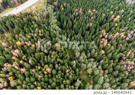 Bird's-eye shot of a sprawling mixed forest. Emerald conifers dominate, interspersed with splashes of golden fall color. A roadway fringes the leafy expanse Bird's-eye shot of a sprawling mixed forest. Emerald conifers dominate, interspersed with splashes of golden fall color. A roadway fringes the leafy expanse 140040942