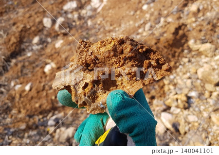 A gloved hand cradles a gnarly chunk of chalcedony on flint. This intriguing mineral specimen, boasting a rustic, textured surface, stands out against a blurred, earthy backdrop 140041101