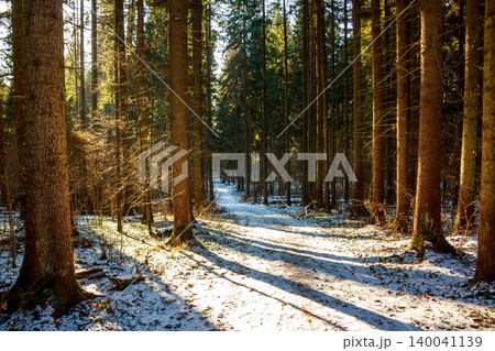 Serene winter forest path bathed in golden sunlight. Tall evergreen trees flank the winding snowy trail, casting long, sharp shadows across the frosty ground. Nature's quiet beauty Serene winter forest path bathed in golden sunlight. Tall evergreen trees flank the winding snowy trail, casting long, sharp shadows across the frosty ground. Nature's quiet beauty 140041139