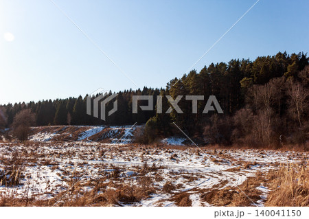 Winter field with patchy snow and dry stubble, leading to a dark green forest under a clear blue sky. A tranquil, early spring landscape 140041150