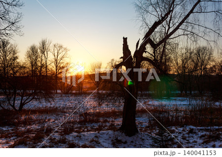 A weathered old tree stands stark against a vibrant sunset, its bare limbs reaching for the fading light. A chilly winter scene, capturing nature's quiet beauty and enduring spirit 140041153
