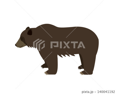 野生のヒグマのイラスト 野生のヒグマのイラスト 140041192