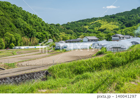 初夏の山村風景 奈良県明日香村 初夏の山村風景 奈良県明日香村 140041297