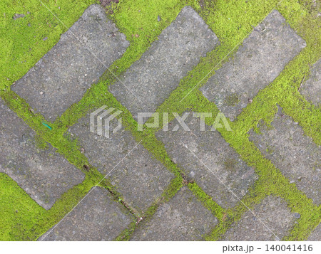 Weathered stones form a herringbone pattern. Moss blankets the gaps between each tile. Textures contrast: rough stone, soft green. Natural wear suggests age and exposure. 140041416